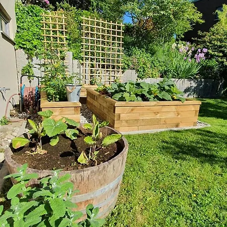 Apartment Schoene Mit Ausblick Und Gartensitzplatz *