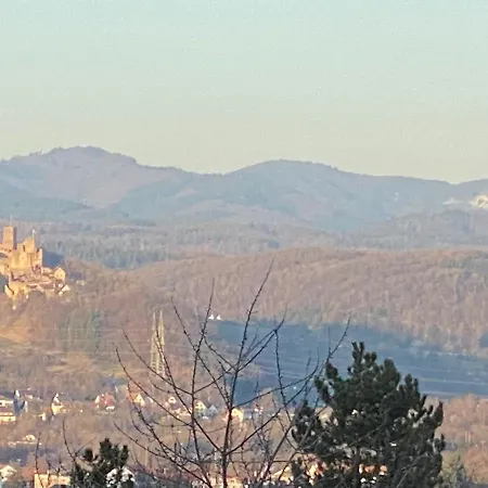 Apartment Schoene Mit Ausblick Und Gartensitzplatz Lorrach